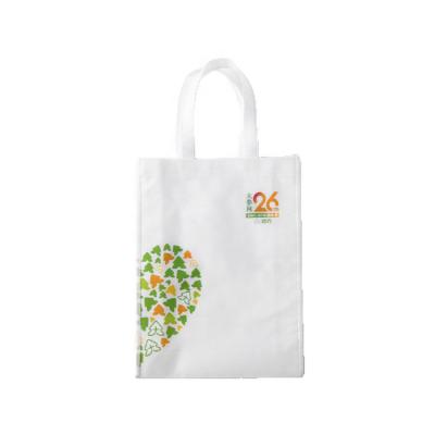 China China Sustainable Suppliers Nonwoven Reusable Foldable Canvas Shopping Bag for sale