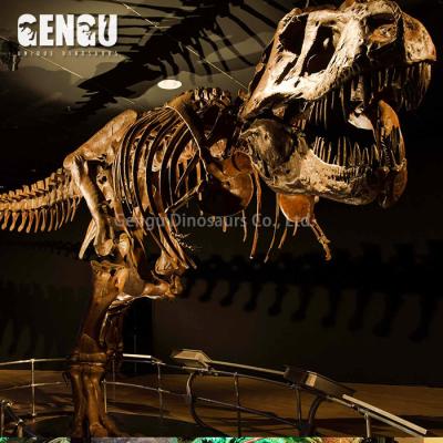 China City Playground T-rex Dinosaur City Playground Museum Exhibition High Simulation Skeleton Model for sale