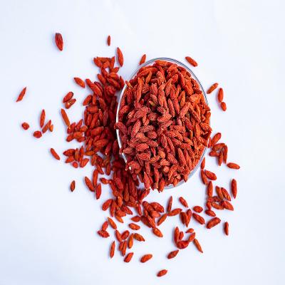 China Dried Planting Low Quality Chinese Red Wolfberry Goji For Liver With Goji Berry Tea for sale