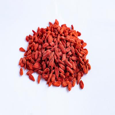 China Hot Selling High Quality Red Organic Wolfberry Goji Berries Dried Chinese for sale