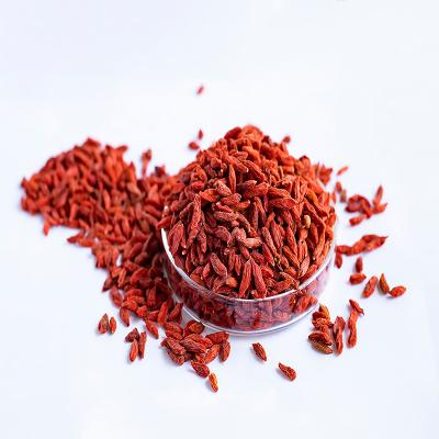 China Dry Chinese Red Goji Dried Red Berry Lycium Wolfberry for sale