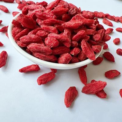 China High Quality Dried Organic Chinese Red Goji Berries Ningxia Wolfberry Goji Berries Dried Pure Natural for sale