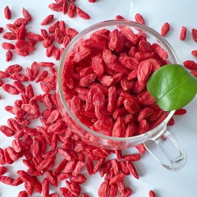 China Factory Manufacture Dried Goji Berry Seeds High Quality Natural Goji Berries Dried Berry for sale