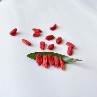 China High Quality Ningxia Goji Organic Chinese Dried Natural Dried Wolfberry Goji Berry for sale