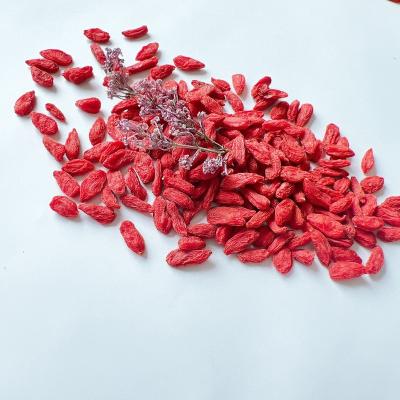 China Natural Pure Dry Goji Berry Factory Price Organic Berry Plants Goji Berry Seeds for sale