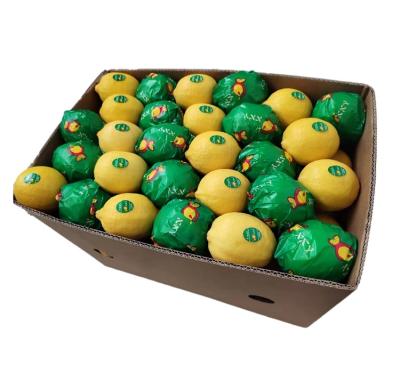 China Eureka healthy nutritious fresh citrus fruit yellow lemon fresh Eureka healthy nutritious fresh fruit for sale