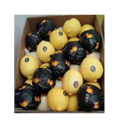 China Wholesale Fresh Healthy Nutritious Eureka Fresh Hot Yellow Farm Lemon Eureka Lemon For Sale for sale