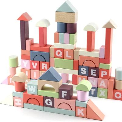 China Kindergarten Wooden Block Babies Early Education Large Particles Enlightenment Educational Toy Children's Color Matching Cognitive Toys for sale