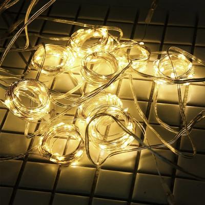 China Lights with Window Indoor Decor Hook 3x3m 9.8ft Smart Christmas LED Fairy String Lights for sale