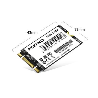 China ASENNO SSD NGFF M.2 2242 Best Customer 120GB Electronics Part For Computer Desktop Laptop for sale