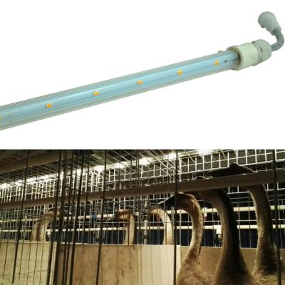 China Poultry Farm DC48V T5 T6 Cage Chicken Cage Poultry Lighting Waterproof Dimmable Strip Tube for sale