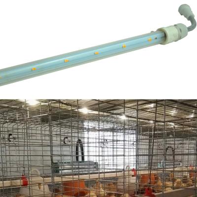 China Poultry Farm Caged 48V Strip Light T5 T6 8ft 12ft For Broiler Layer Chicken Cage Poultry Farm House for sale