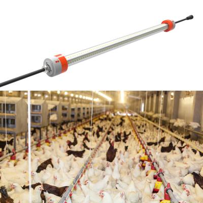 China Poultry ETL U L Standard Waterproof Dimmable LED Tube For Chicken Pig Swine Animal House for sale