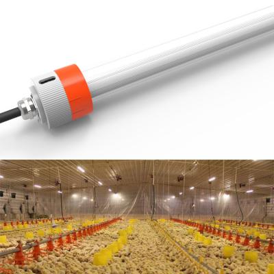 China IP67 18W 25W T8 Poultry Chicken Poultry Lighting Variable Dimmable Hanging Color for sale