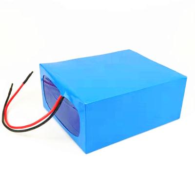 China 20Ah 24 Volt Li Ion Battery Pack for sale