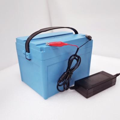 China 60Ah 12 Volt Automotive Battery AGV Lithium Battery for sale