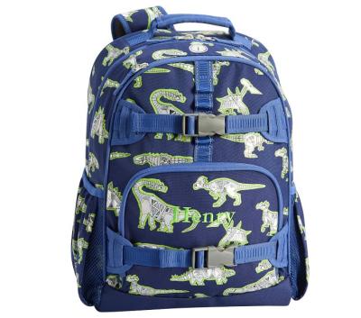 China Waterproof Custom Kids Backpacks Dinosaur Unisex School Backpacks For Elementary School for sale