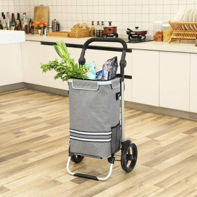 China Detachable Folding Detachable Folding Insulated Cooler Compra Skateboard Cart Shopping Bag for sale