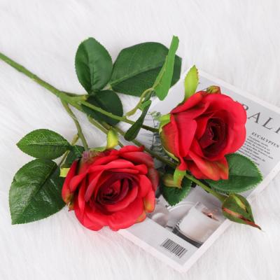 China QiHao Real Touch Artificial Rose Flower Fake Decorative 52cm Height  1.5/18kg for sale