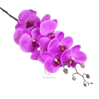 China QIHAO Wholesale Artificial 9 Heads Orchid Flower Real Touch Orchid Latex for decoration for sale