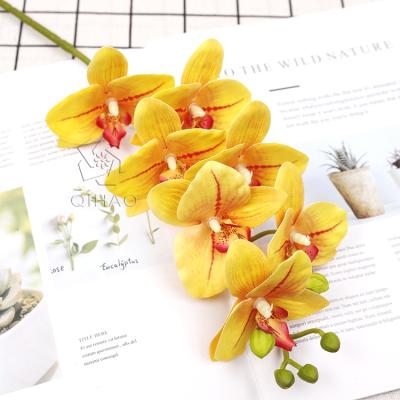 China QiHao 7 Heads Artificial Real Touch Latex Orchid Flower Phalaenopsis Moth Orchid Plants for Sale for sale