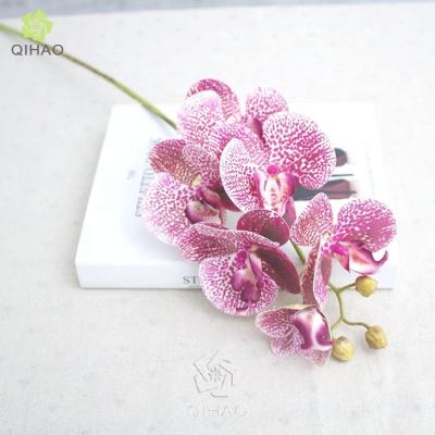 China QIHAO 6 Heads Latex Artificial Orchid Flower For Home Decoration 72cm Height for sale