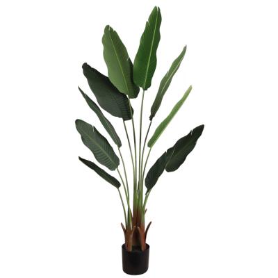 China Qihao Artificial Fake Potted Green Plant Of Paradise Tall Plant Faux Silk Tree Banana Leaf For Indoor Outdoor Office for sale