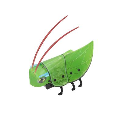 China Plastic / Plastic ROD Toys DIY Fun Science Toy For Kids Electric Grasshopper Toy for sale