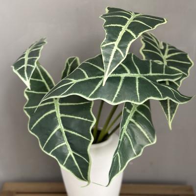 China Real Touch Real Touch Alocasia Natural Artificial Greenery Plants For Home Office Indoor Outdoor Garden Modern House Decor for sale