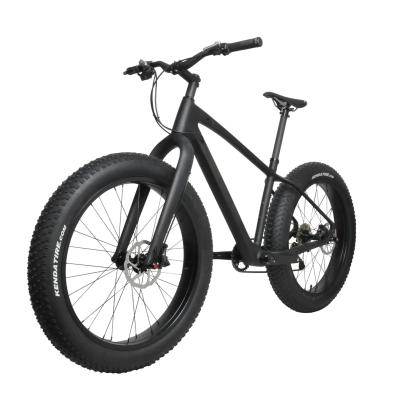 China fat bike fm190 full carbon fat bike sand bike snow fat bike shimano kit newest Toray carbon for sale