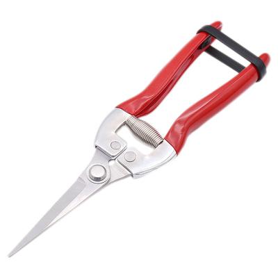 China Pruner Garden Handle Red Bypass Shears Tree Trimmer Scissors Anti-Slip Garden Trimming Shears Pruner Stainless Steel Garden Shear for sale