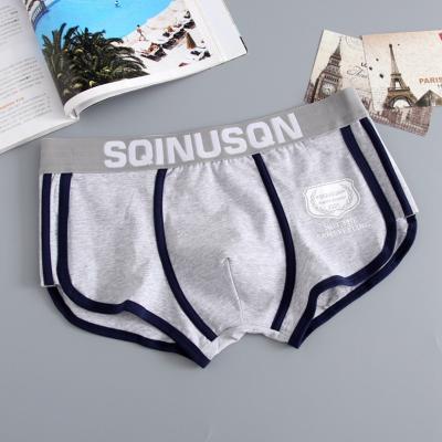 China Anti-Static Mens Underwear Ice Silk Breathable Boxers Shorts Fashion Slim Seamless Boxer Shorts BOXER Briefs Sport Comfortable Underwear for sale