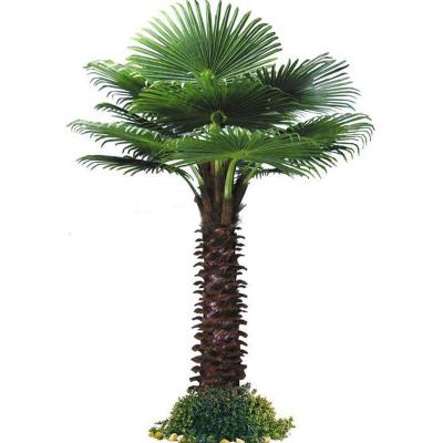 China Minimalist high imitated artificial palm tree, plastic plam tree, decorative for indoor artificial palm tree for sale