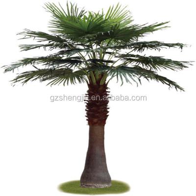 China Indoor And Outdoor Decorative Place SJZZY Customized Landscaping Real Look Artificial Palm Tree for sale