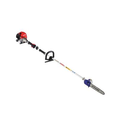 China D-loop 2-Stroke Gasoline Extendable Pole Chainsaw motosierra for sale