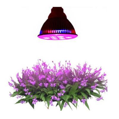 China Green House Led Light Cheap 12w Porcelain Grow Green House Light Led For Growing Light for sale