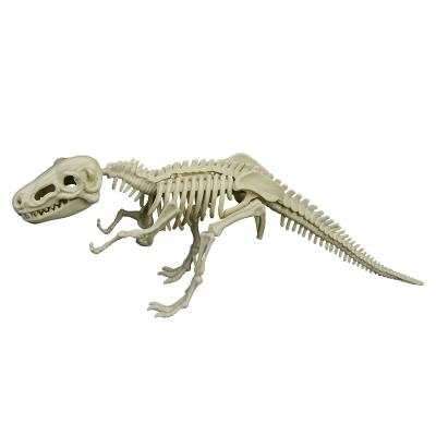 China Multi Type Archaeological Toys Excavation Dinosaur Dig Rod Education Tyrannosaurus Ridgeback Fossil Skeleton Kit for sale