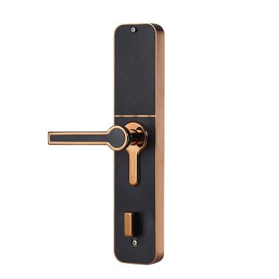 China Apartment Smartdust Fingerprint NFC Intelligent Door Lock for sale