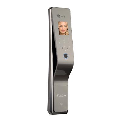 China Apartment Face ID Recognition Keyless Palmprint Access Smart Door Lock With Camera for sale