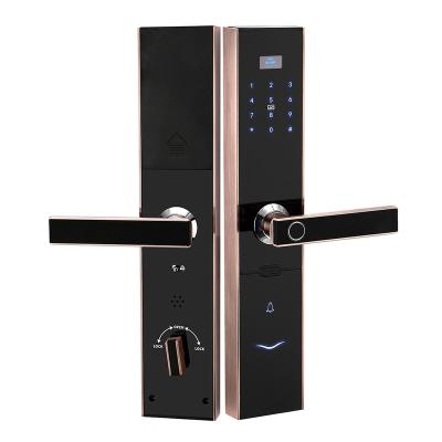 China Apartment Smart Keyless Double Sided Fingerprint Door Lock for sale