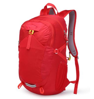 China 30L Fashion Leisure Nylon Waterproof Lightweight Folding Sports Travel Outdoor Backpack for sale