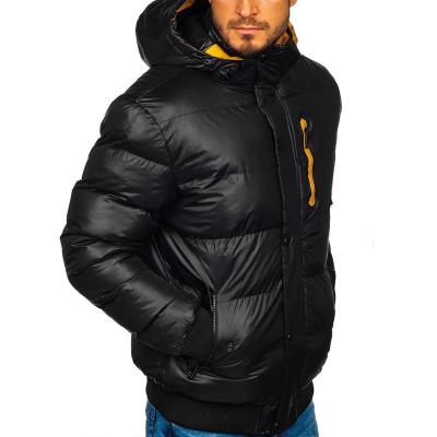 China Polyester Cotton-Padded Polyester Winter Hooded Long Sleeve With Pockets Mens Jackets for sale