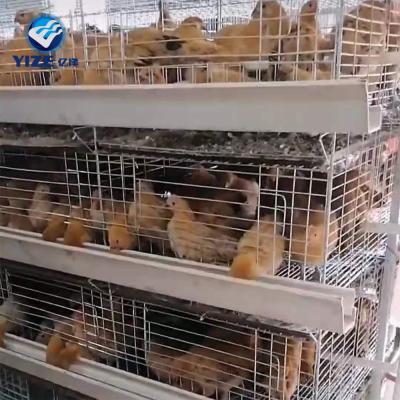 China Durable And Easy To Install New Design Battery Layer Chicken Cage For 120 Birds Chicken Cage For Poultry Farm for sale