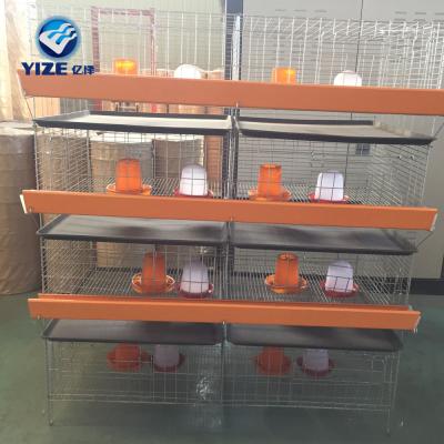 China Easily Install Galvanized Chick Cage For Sale Type H for sale