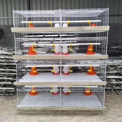 China Easily Install 2021 Hot Sale Baby Chicks Cage Battery Cage Poultry Farm Animal Chicken Farms for sale