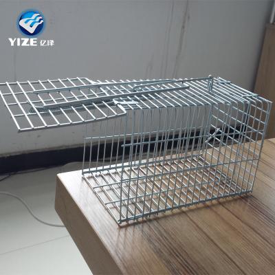 China Humane Hook Farms Metal Wire Mesh Live Multi Mouse Rat Animal Trap Cage for sale