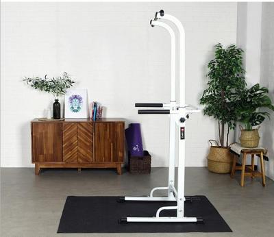 China Home Fitness Home Use ZYFIT Horizontal Bars Pull Up Bar Tower Pull Up Station for sale