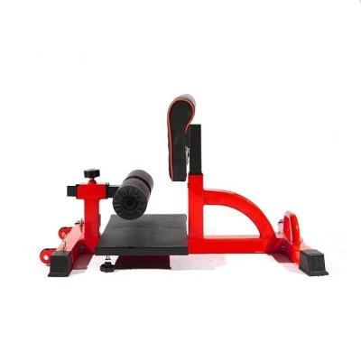 China ZYFIT Home Gym Sissy Squat Deep Squat Leg Indoor Exercise Machine for sale