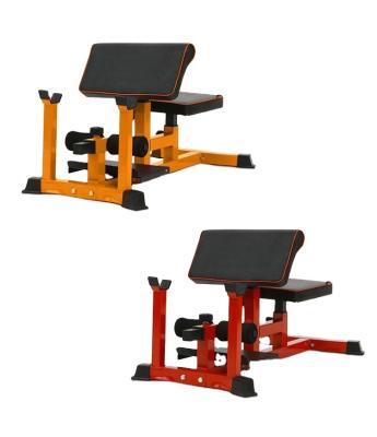 China Hot Sale NEW PRODUCT Fitness Gym Indoor Colorful Foldable Sissy Bench Horizontal Bar ZYFIT Squat Machine for sale