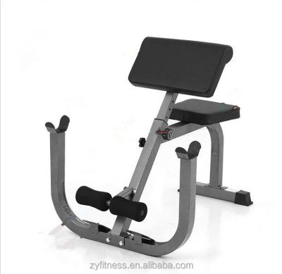 China ZYFIT New Design Indoor Body Strong Preacher Loop Bench Roman Chair for sale